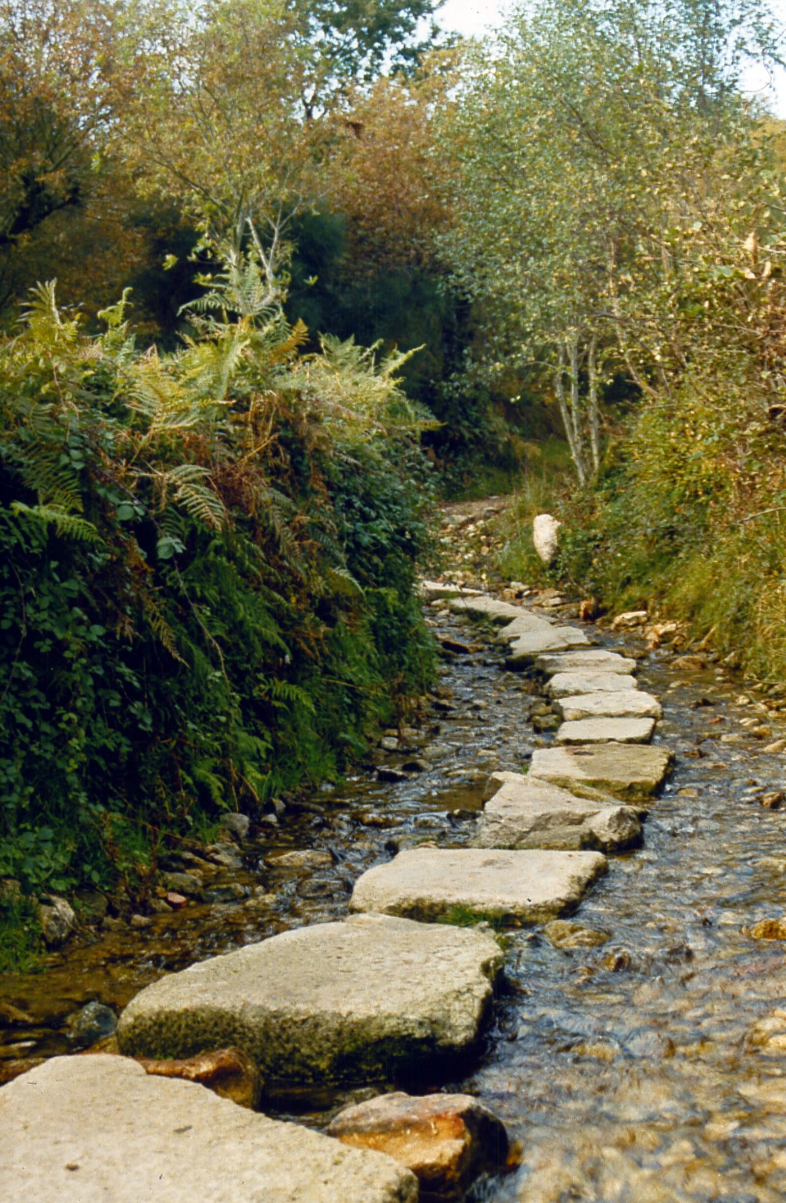 Sendero del Camino de Santiago en Peruscallo, Sarria, Lugo